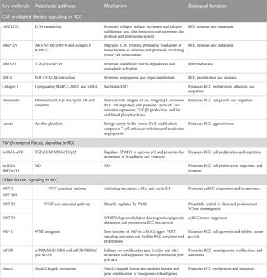 New insights into fibrotic signaling in renal cell carcinoma